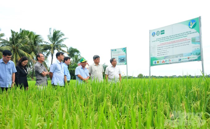 Sản xuất lúa giảm phát thải, tăng thêm thu nhập nông dân (03/09/2024)